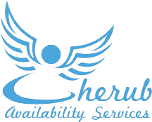 Cyber Security Cherub Availability Services